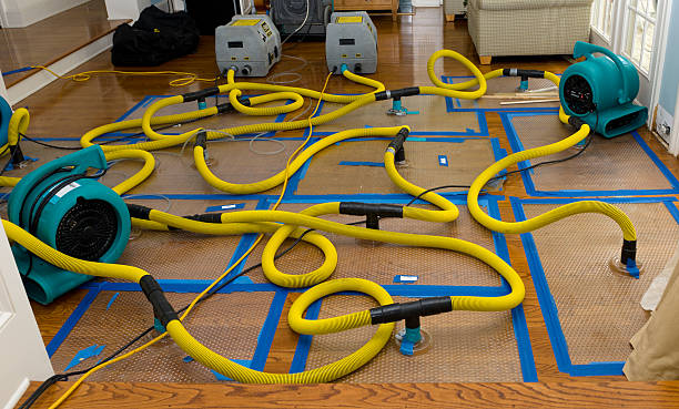 Professional Crawl Space Water Removal technician working in Purdys, NY
